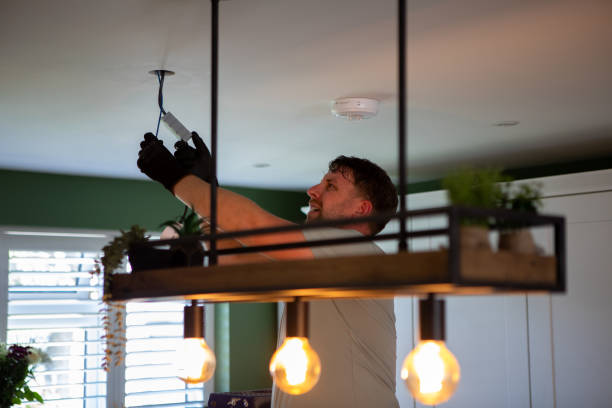 Best Electrician for Home Renovation  in Pineland, TX
