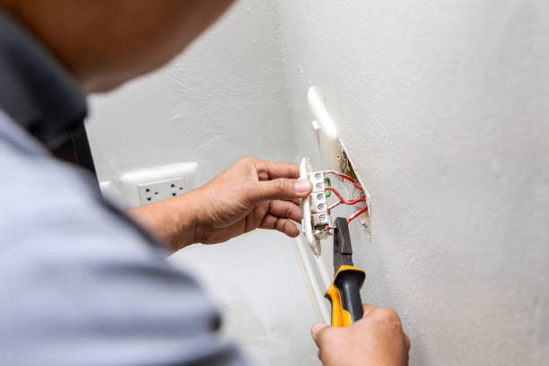 Best Electric Panel Repair  in Pineland, TX